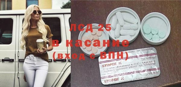 стаф Верея