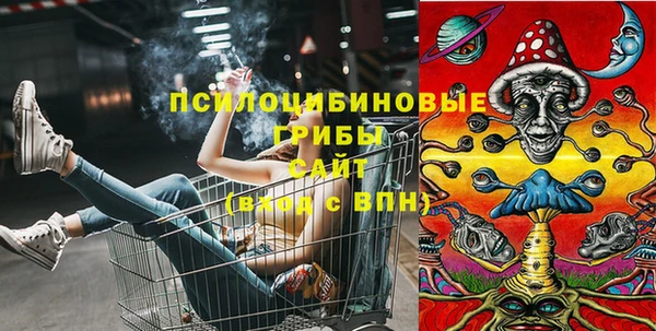 МДПВ Бугульма