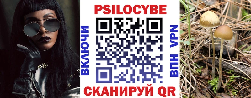 купить наркотики цена  Десногорск  Галлюциногенные грибы ЛСД 
