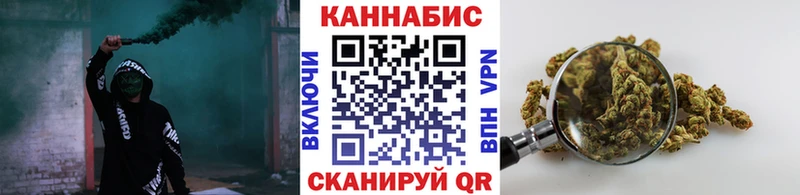 Бошки Шишки план Десногорск